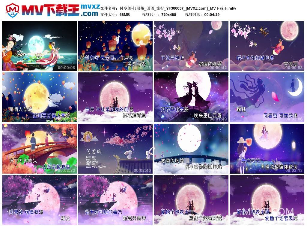 付亨剑-问君娥_国语_流行_YF300057